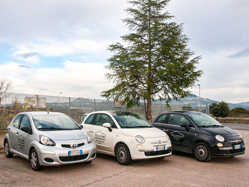 auto di cortesia